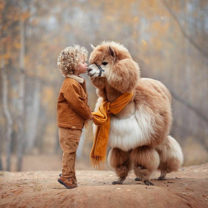 Bukan Hanya Kucing dan Anjing, Ini Bukti kalau Alpaca Gak Kalah Imut